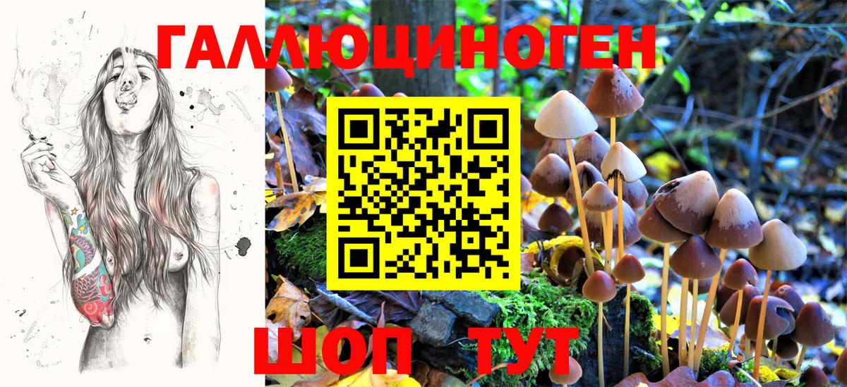 Семилуки  Галлюциногенные грибы Magic Shrooms  Вход с VPN 
